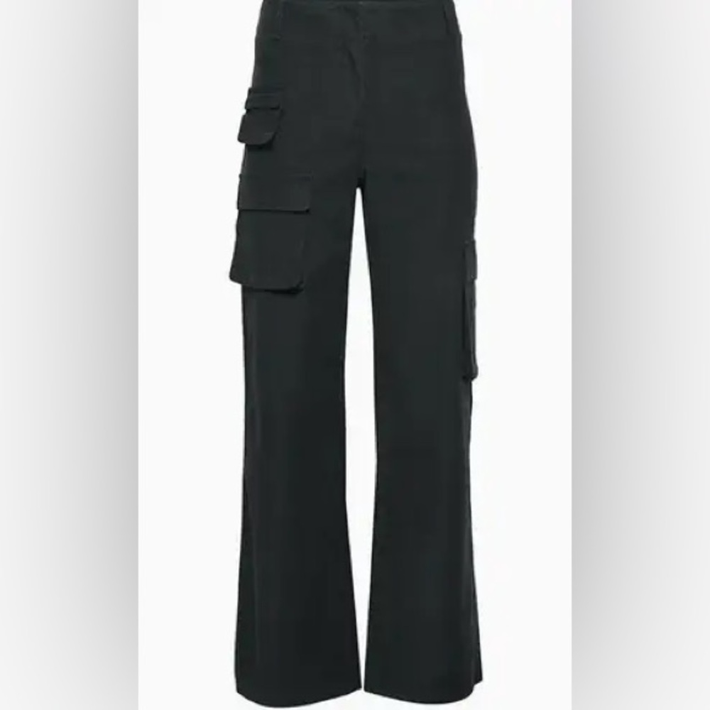 Aritzia Wilfred Free Picture Cargo Pant